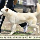 수컷 이미지