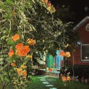 후펜션민박 이미지