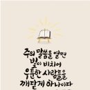 빛과사람들주