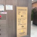 제주 신신호텔 제주시티 가성비 좋은 곳 내돈내산 트리플룸 후기