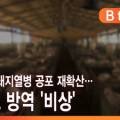 대한뉴팜㈜ 이미지