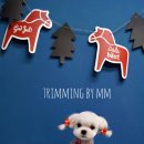 초롱이 애견 미용샵 이미지