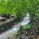 웰리힐리컴퓨터크리닉 | 찐힐링 필요할 때 무조건 여기각! 숲과개울 펜션 다녀옴 후기 대방출