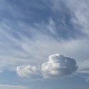 메이플펜션 이미지