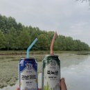 죠탕죠탕 이미지