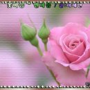 별마음