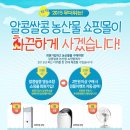알콩쌀콩