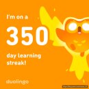 월 강좌(5월) / 모닝요가 | [코타키나발루 #2] 모닝 플로팅 요가, 하루종일 샹그릴라 라사리아 뽕뽑기🔥