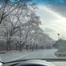 남대천R 이미지