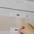 디스띵트