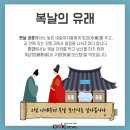 복날의 의미 이미지