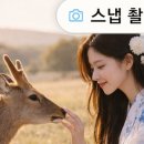 투어나라 - 김포시 태장로 765 | 투어나라