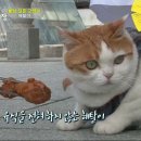 상귀농장 이미지