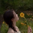 숲에서 | 대구 커플스냅 촬영 후기 | 대구대표도시숲에서 담은 가을 커플사진