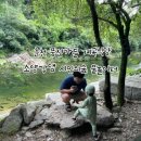 풍전식당 이미지