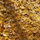 연세이튼치과의원 이미지