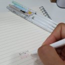 포시랍개 이미지