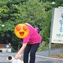 물맑음 펜션 이미지