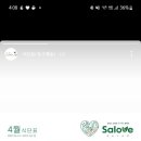 샐러브 네이버블로그