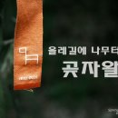 올레뜰 이미지