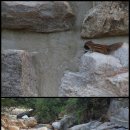 고길동 캠핑장 이미지