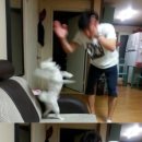 블루 여관 이미지
