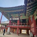 장성-23 | 3월23일 남원장성투어