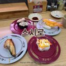 스시로명동성당점 | 명동 회전초밥 맛집 스시로 명동성당점 웨이팅 없이 먹은 내돈내산 혼밥 후기