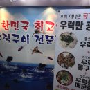 우럭한마리