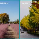 조정경기장 화장실(관람동) 이미지