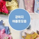 구름강아지 이미지