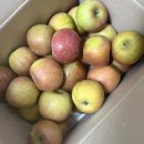 수택천로 | 26년 2월 일기장