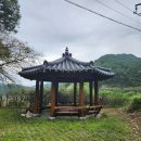 게으른 악어 이미지