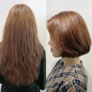 명동미용실 박준뷰티랩 : 여자단발C컬 장인 조이쌤 인생머리 + 인생상담 받은 솔직 후기