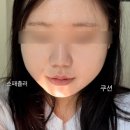어바웃톤 스킨 레이어 핏 쿠션 내돈내산 후기 21 쿨라이트 (지복합성 수부지) 19호+싸게 사는법