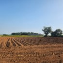 서산황금알공인중개사사무소 이미지