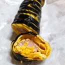 여우애김밥북