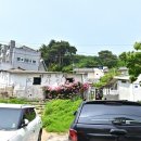 조은국수 티스토리