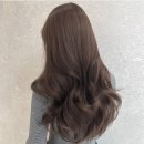 퍼플헤어 네이버블로그