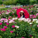 삼성현역사문화공원 이미지