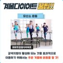 살빼고점핑다이어트