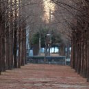 진주실내체육관 수영장 이미지