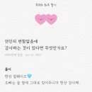 버블노래방 이미지