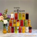 차선생의아뜰리에