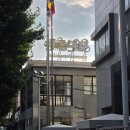 피자나무 | 강릉 수제맥주 맛집 버드나무 브루어리 송고버섯 비스마르크 피자 후기