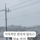 대관령 양떼마을 펜션 이미지