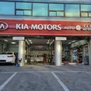 대조점기아오토큐 이미지