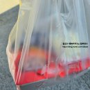 처갓집양념치킨 모종점 이미지