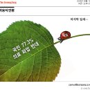 2024.06.18 간추린 아침뉴스 이미지