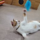 호텔네모 이미지
